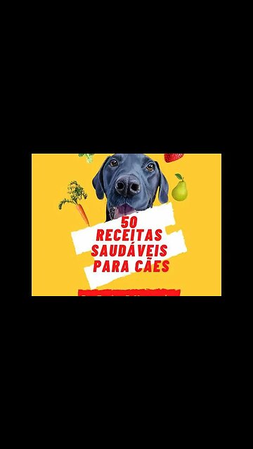 18KATDOG1 50 receitas saudaveis para caes #shorts