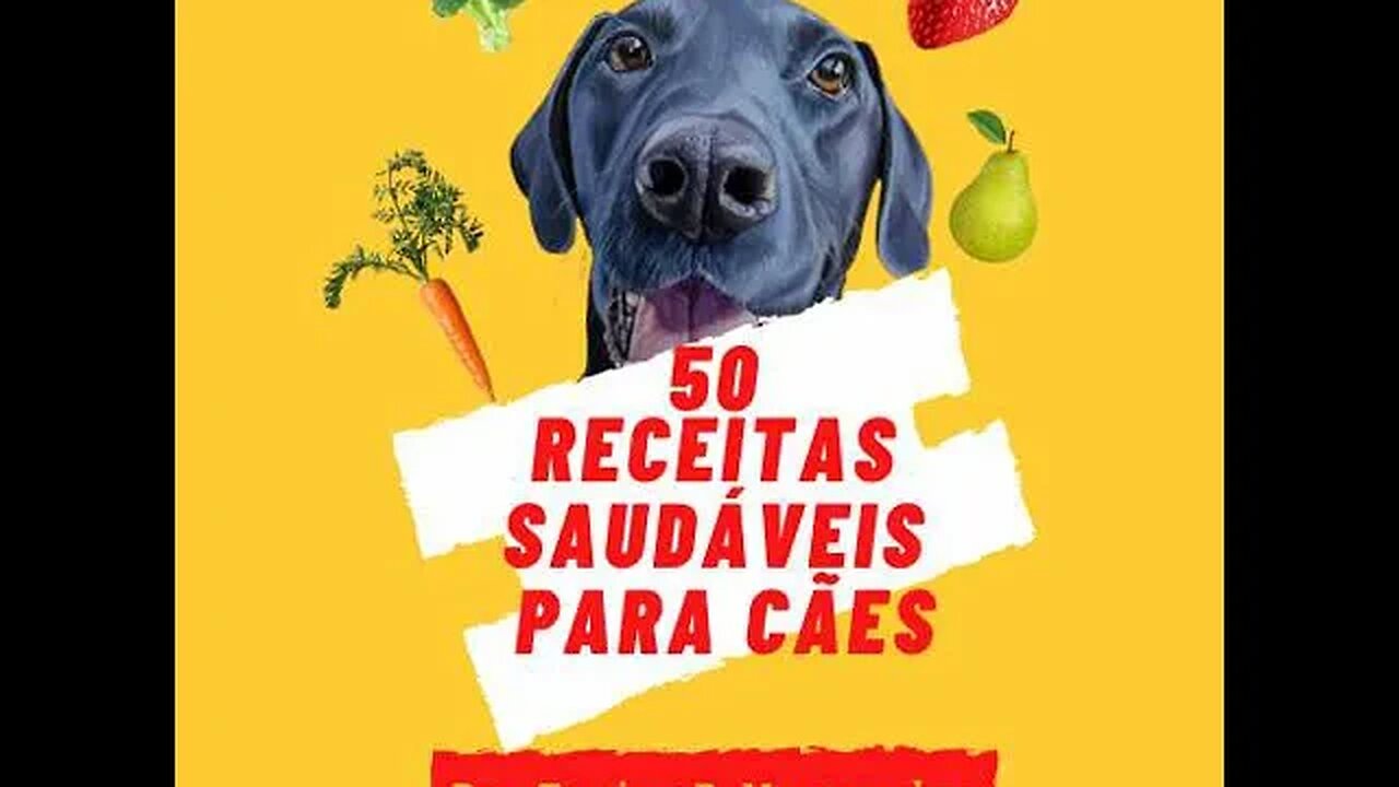 18KATDOG1 50 receitas saudaveis para caes #shorts