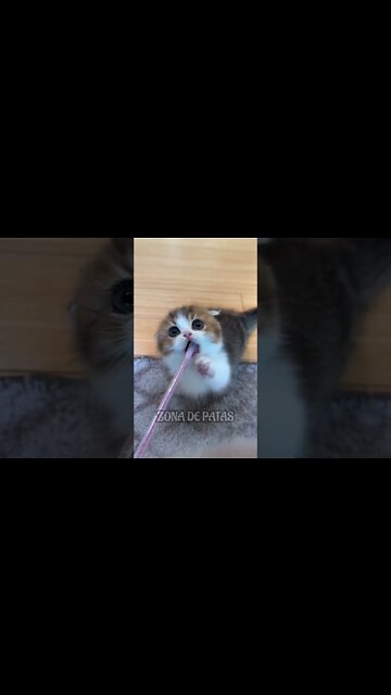 APRENDENDO A ESCOVAR OS DENTES 🥰🥰🥰