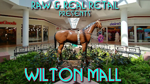 Wilton Mall - Raw & Real Retail