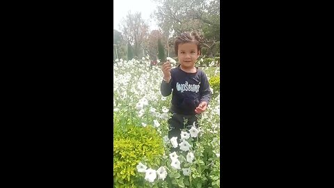 White Flower In my park 🏞️