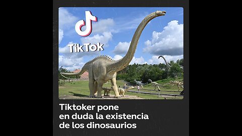 Una mujer asegura que los dinosaurios no existieron