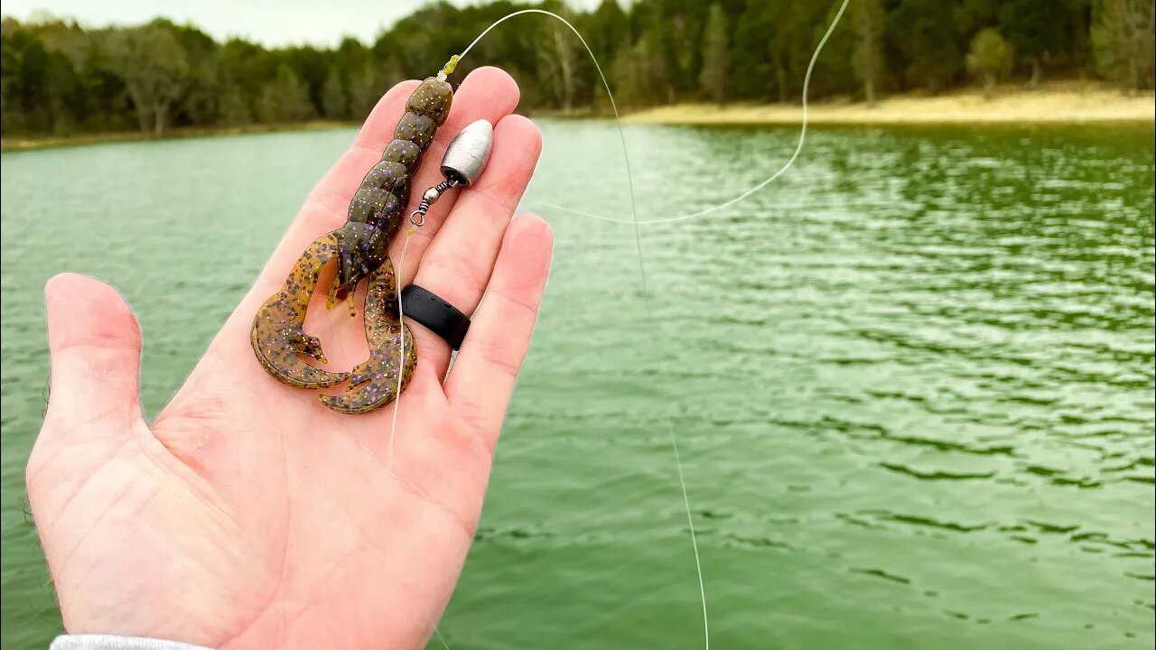 I HATE this rig BUT it catches BIG Spring Bass!