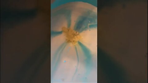 Testing out our new bathbomb #lifeisshortusethegoodsoap