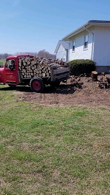 Ripping out stumps with an old Willys Jeep
