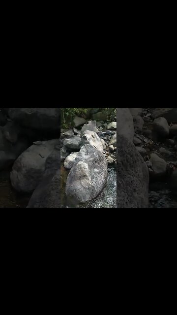 Hiking in the Mountain River #nasio #hiking #hikingadventures #river #philippines #shorts