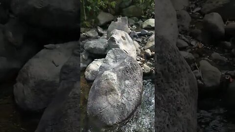 Hiking in the Mountain River #nasio #hiking #hikingadventures #river #philippines #shorts