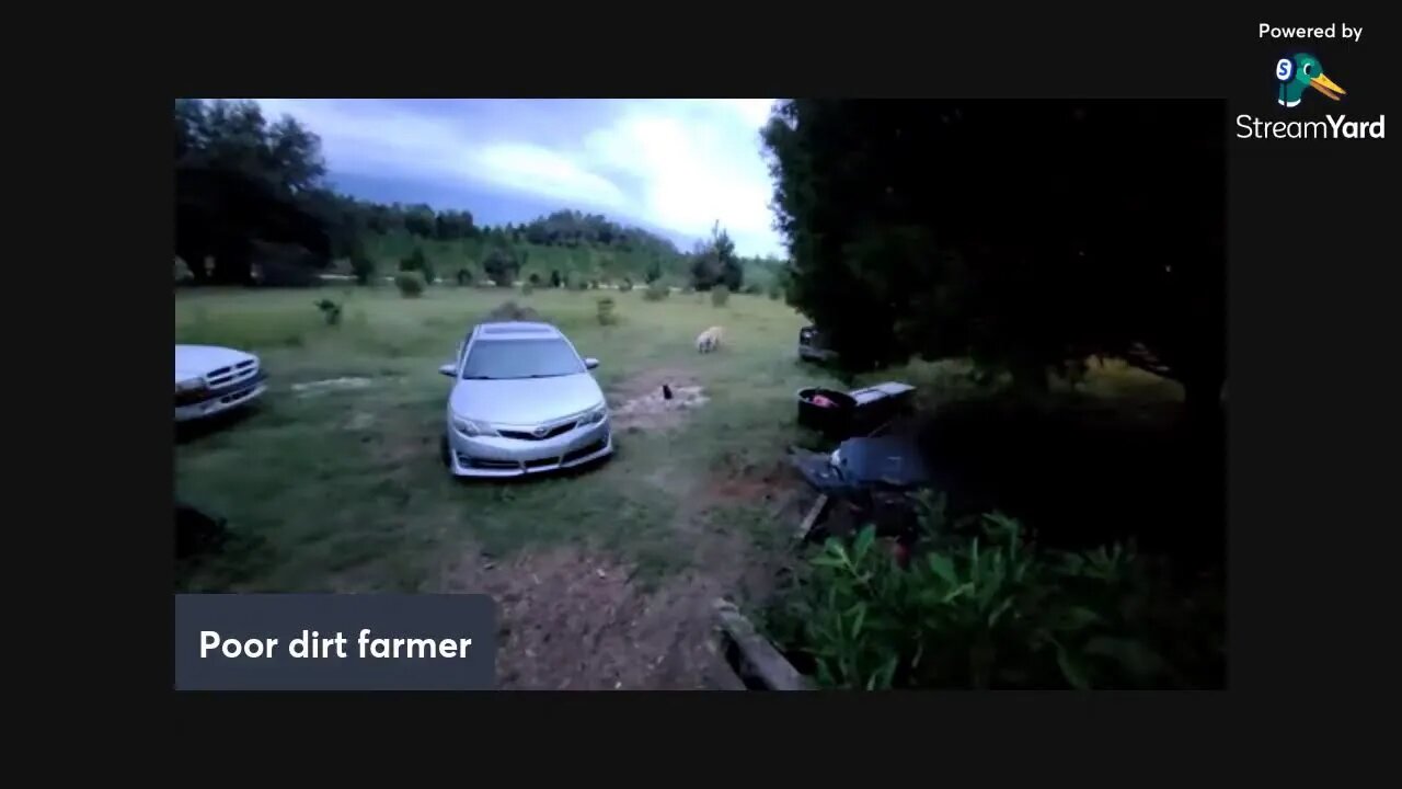 Florida Storm