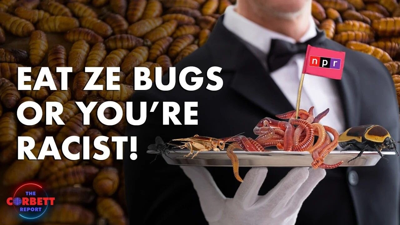 Eat Ze Bugs or You're Racist! #PropagandaWatch