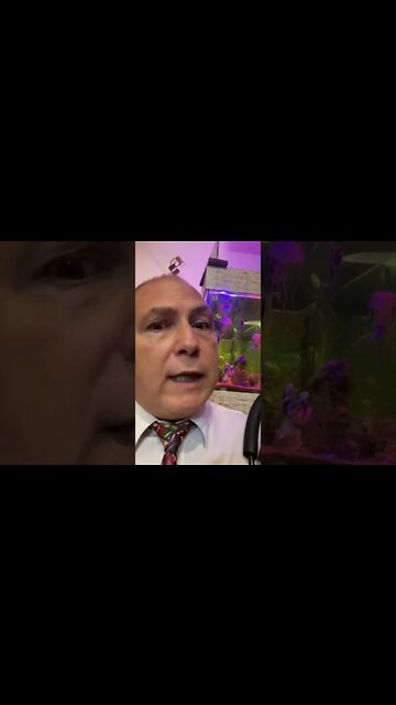 Domingo 20/3/2022 15 h no Parcão esquina Mostardeiro par defender a Liberdade enquanto ainda temos!