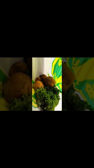 #fallseason #ohhighbud #strangedanimal