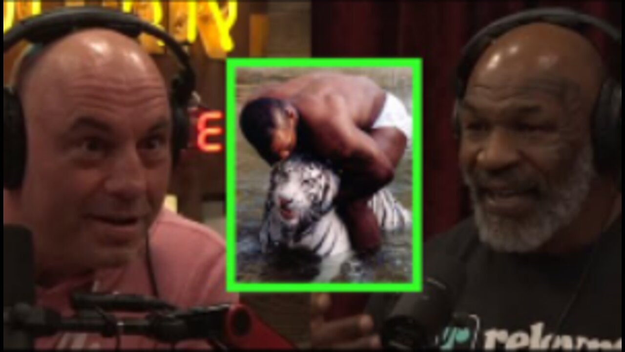 Mike Tyson Talks About Tigers