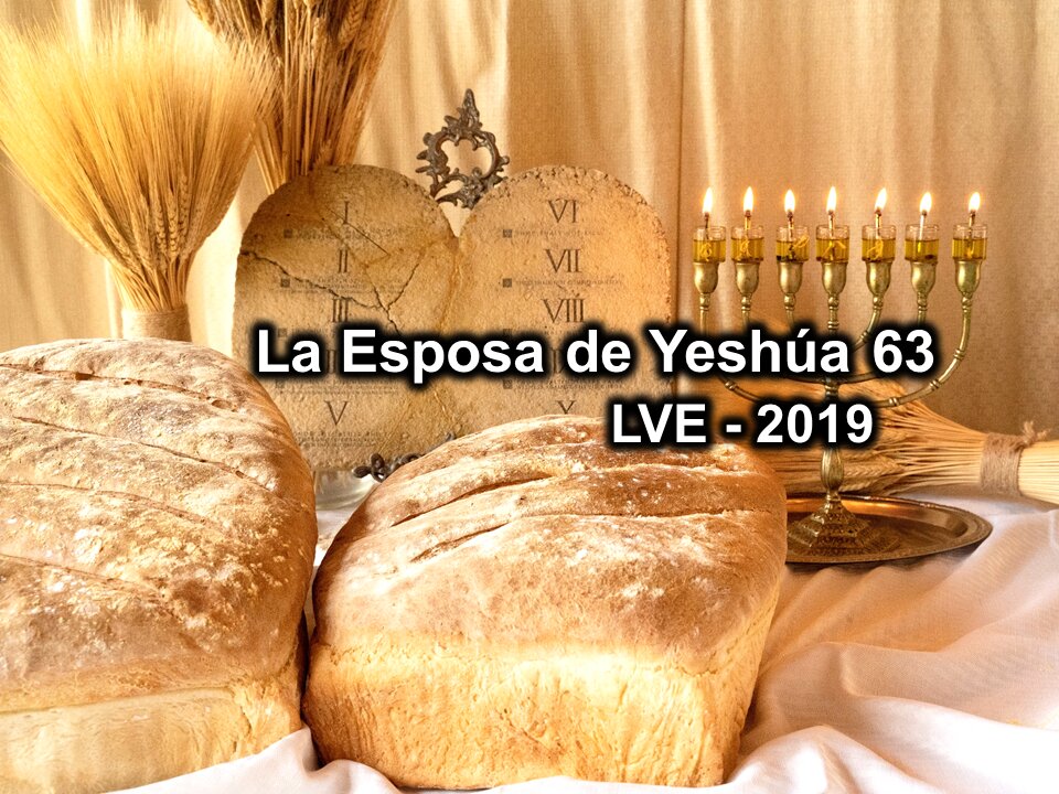 La Esposa de Yeshúa 63 - YHWH Ekjad 42 - Juan 7 - Shavuót