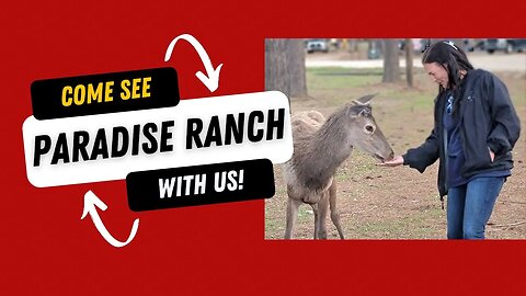 Paradise Ranch RV Resort Tour And Review, Mississippi