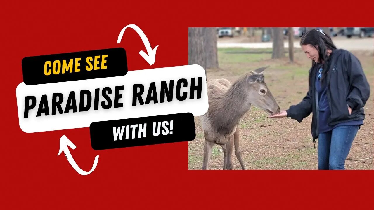 Paradise Ranch RV Resort Tour And Review, Mississippi