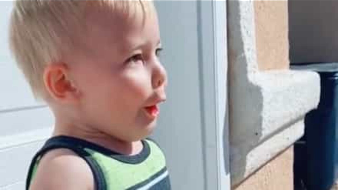 Son screams in delight at dad's return home