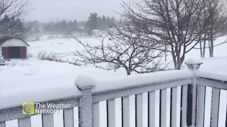 Newfoundlanders are waking up to snow covered yards and decks