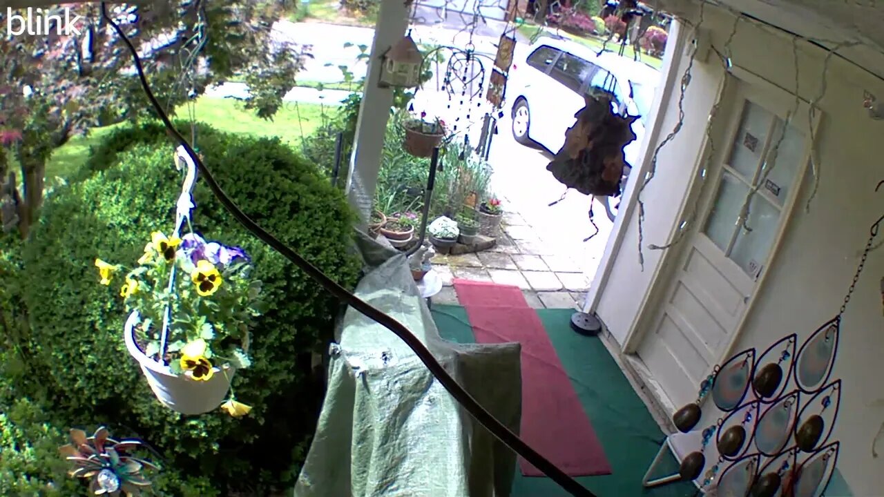 2_WEST_FLOODLIGHT_VIDEO_CAM_2023-05-04T15_05_01-0400.mp4