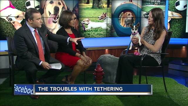 Ask the Expert: Troubles with tethering