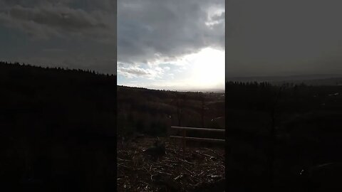 #shorts #hwn #hwn143