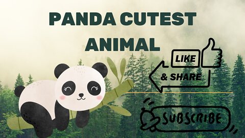 Worlds Cutest Animal Panda videos || Animal videos