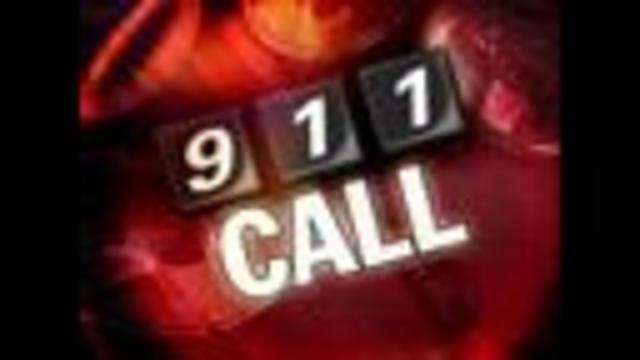 911 call that prompted police to search yard for remains released