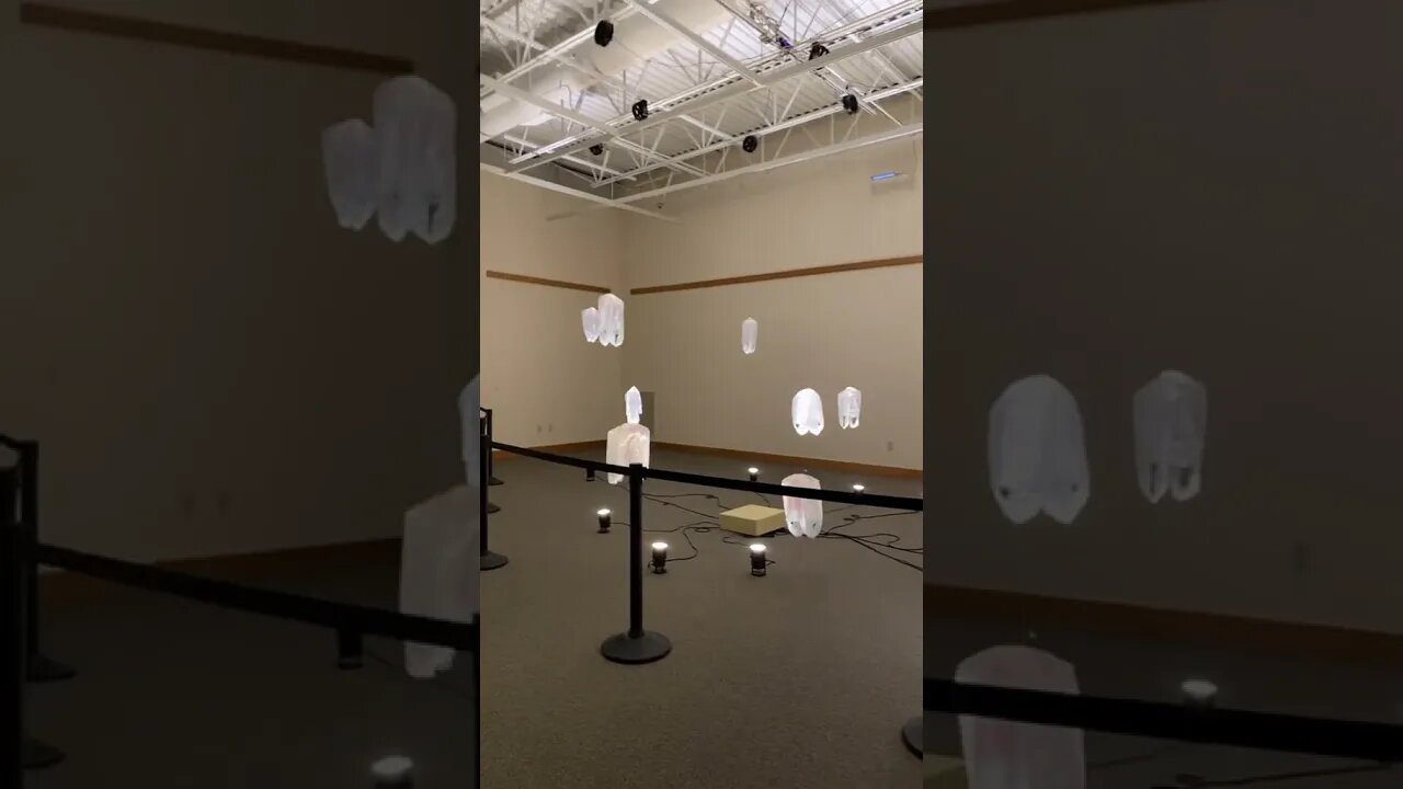 Art Museum Tiktok nohambition