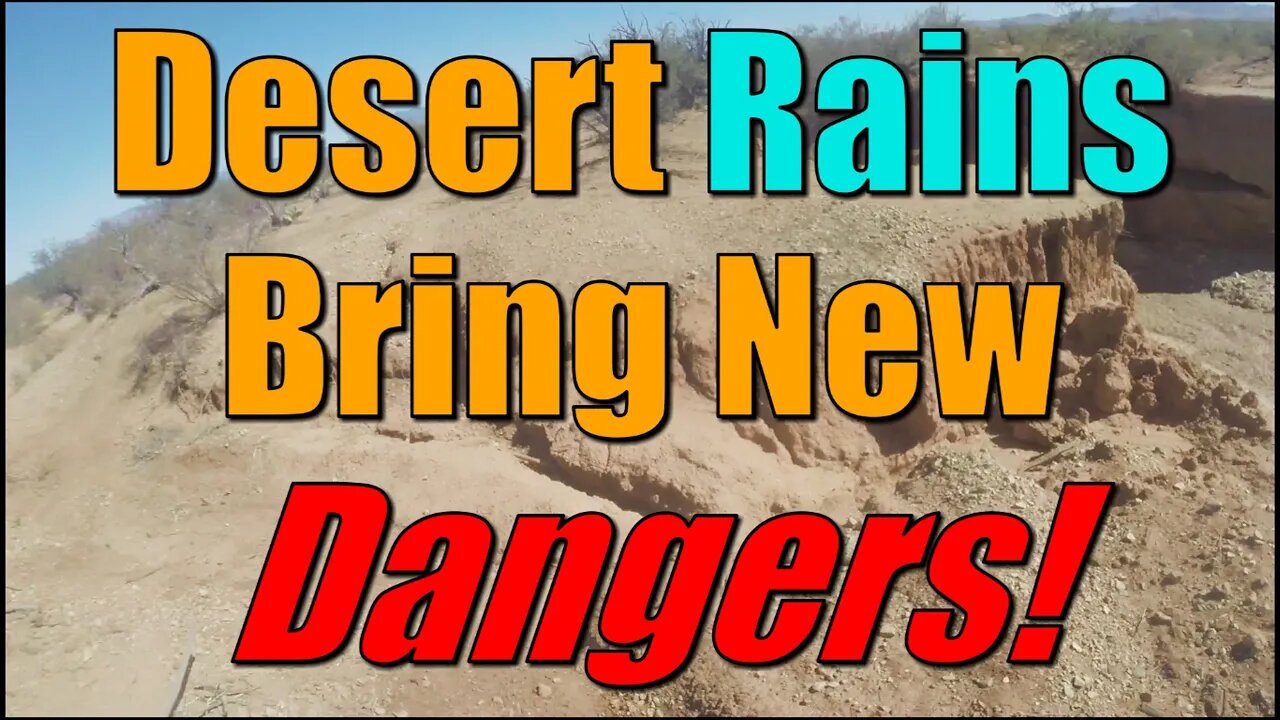 Yikes! Desert Rains Bring New Dangers!