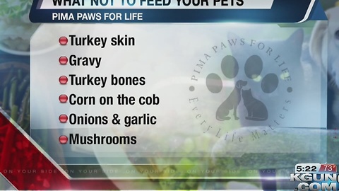 Thanksgiving foods your pets shouldn't eat