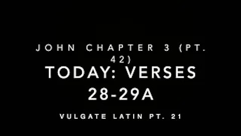 John Ch 3 Part 42 Verses 28–29a (Vulgate 21)