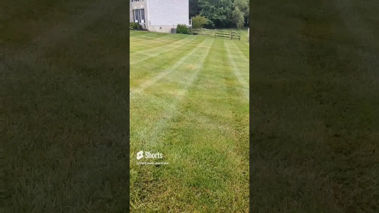 From #green to #brown what #difference from a month ago. #vanlowelawncare #summer #dry #mowing