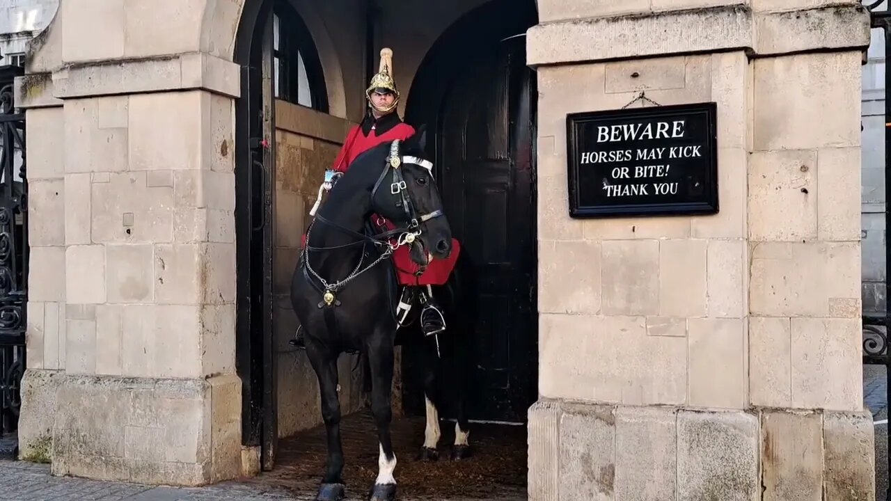 Horse still won't calm down #horseguardsparade