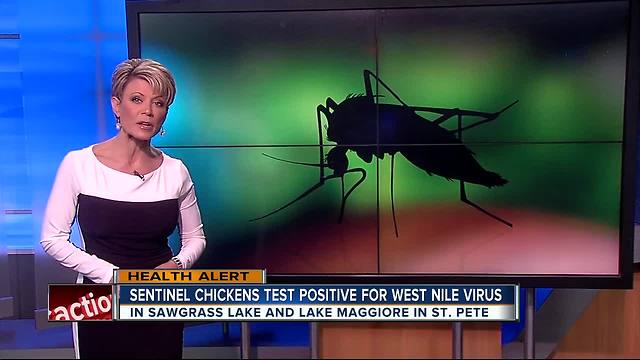 Sentinel chickens test positive for West Nile Virus in Pinellas County