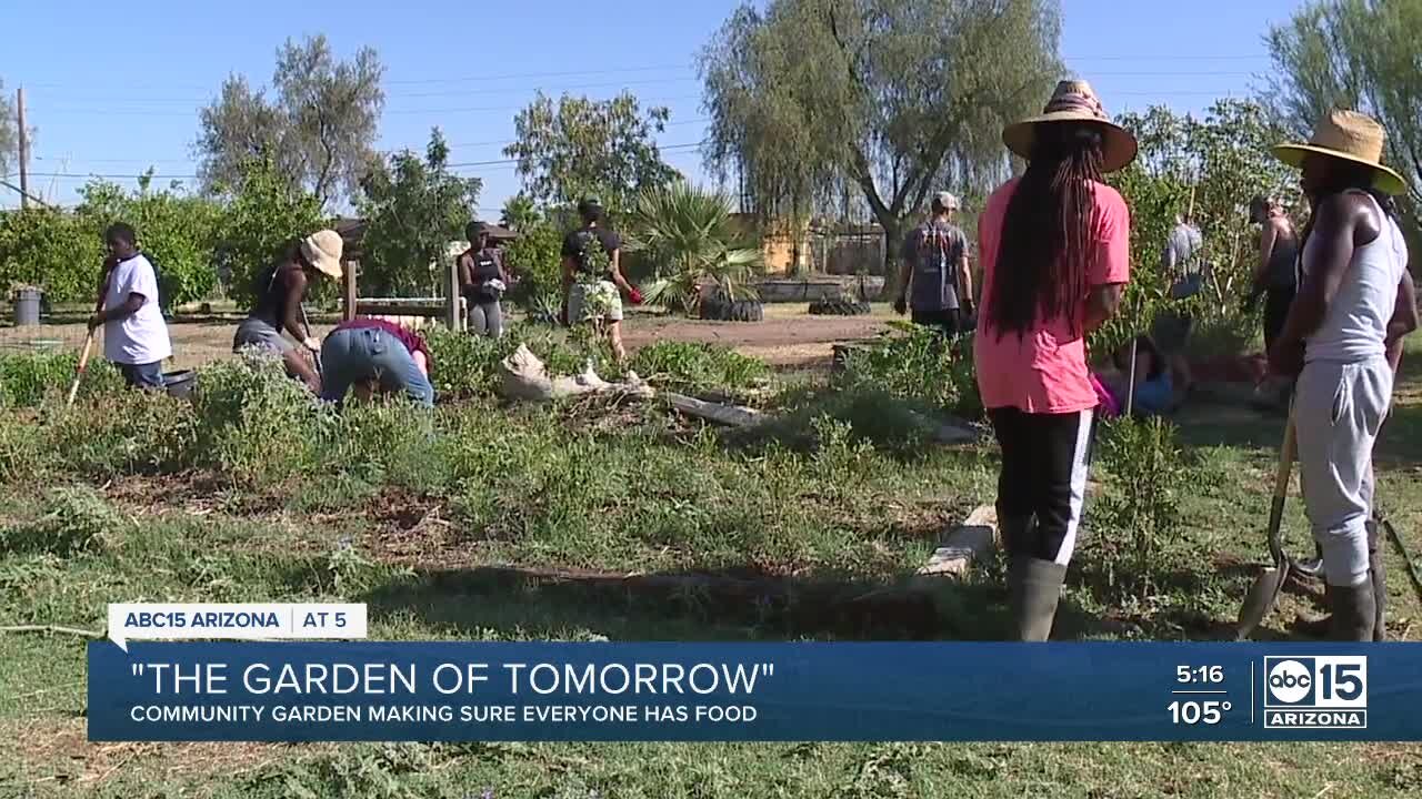 Community garden works to make sure everyone has food