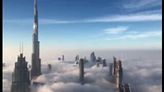 Oppe i skyerne: Intens dis ændrer landskabet i Dubai