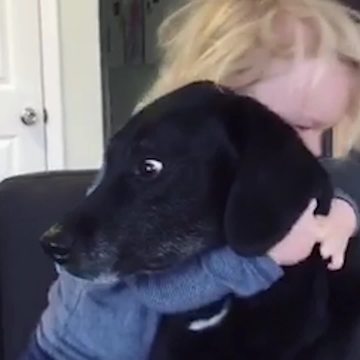 Little Boy Hugs His Dog And The Dog’s Reaction Is Priceless