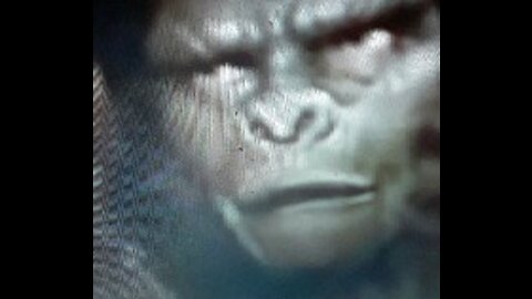 Alex Jones Emergency Transmission Sat (05/08/2021)