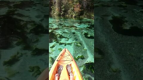 Kayaking at Weeki Wachee Springs in Florida #shorts