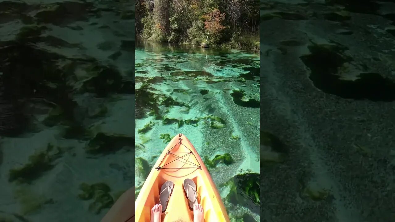 Kayaking at Weeki Wachee Springs in Florida #shorts