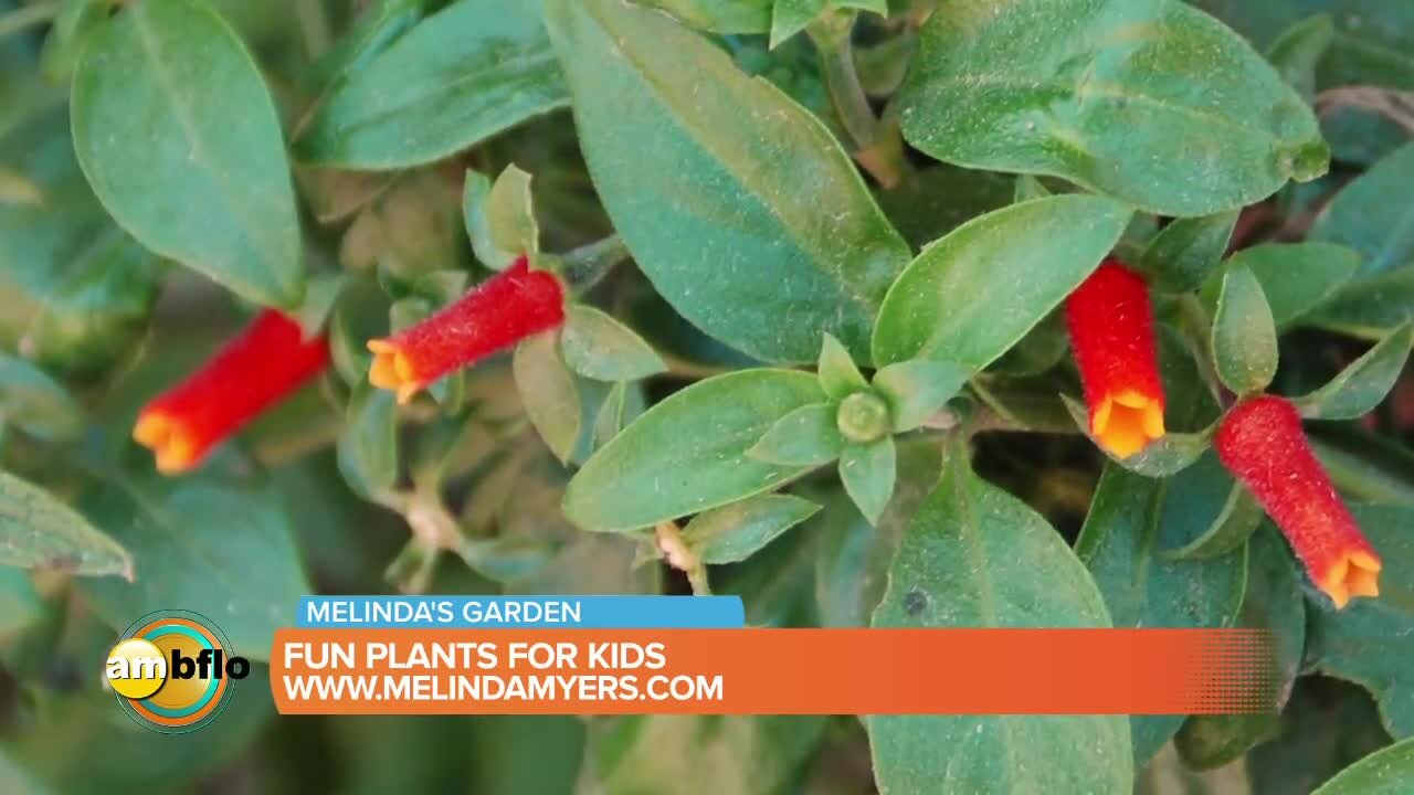 Melinda’s Garden Moment - Fun Plants for Kids