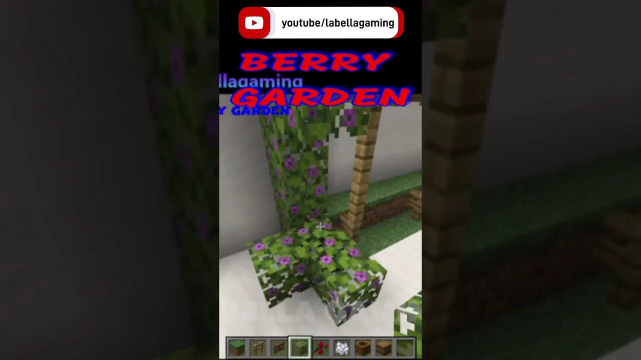 Berry Garden | Minecraft