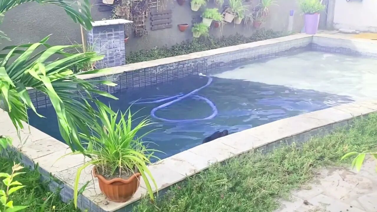 SLOW MOTION