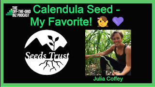 Calendula Seed - My Favorite! 👧💜