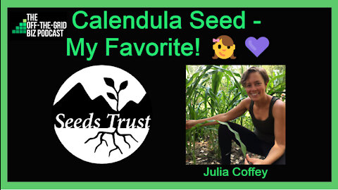 Calendula Seed - My Favorite! 👧💜