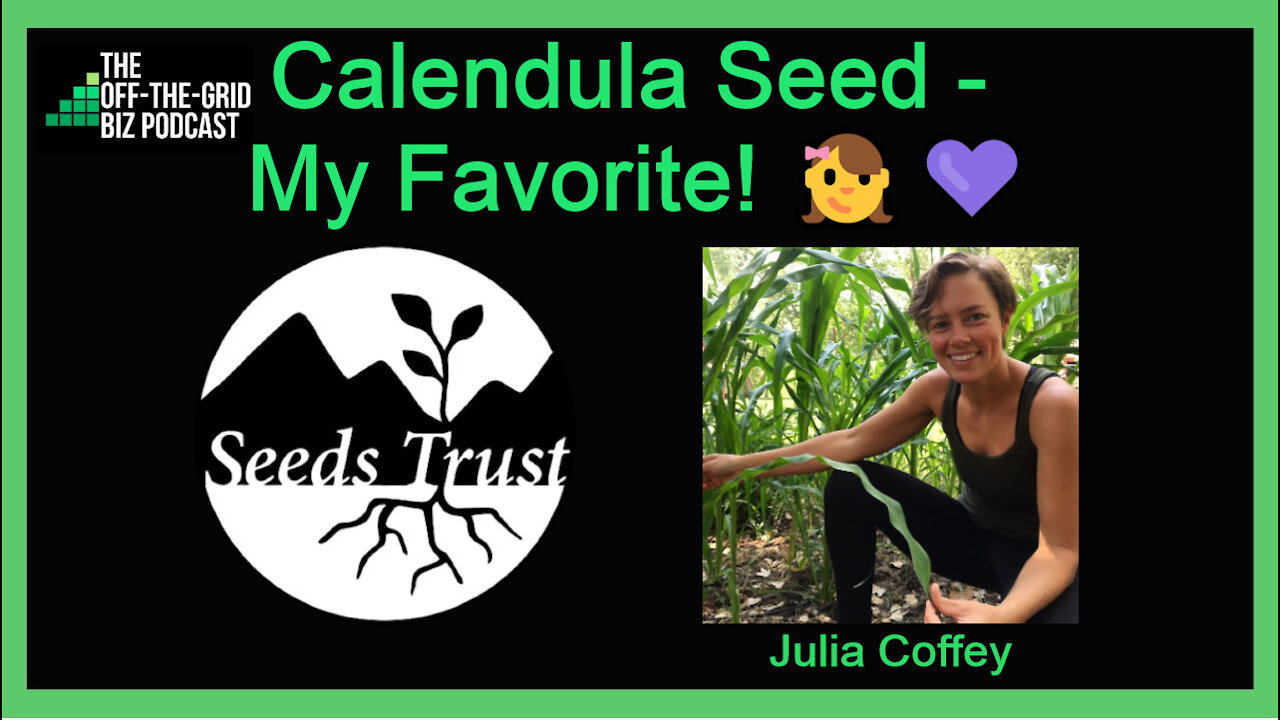 Calendula Seed - My Favorite! 👧💜