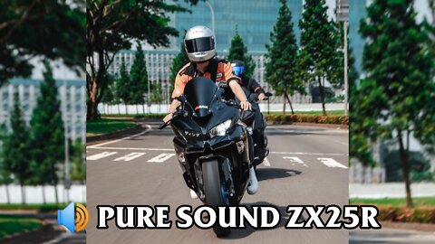 PURE SOUND ZX25R BY DANIEL CLAUDE