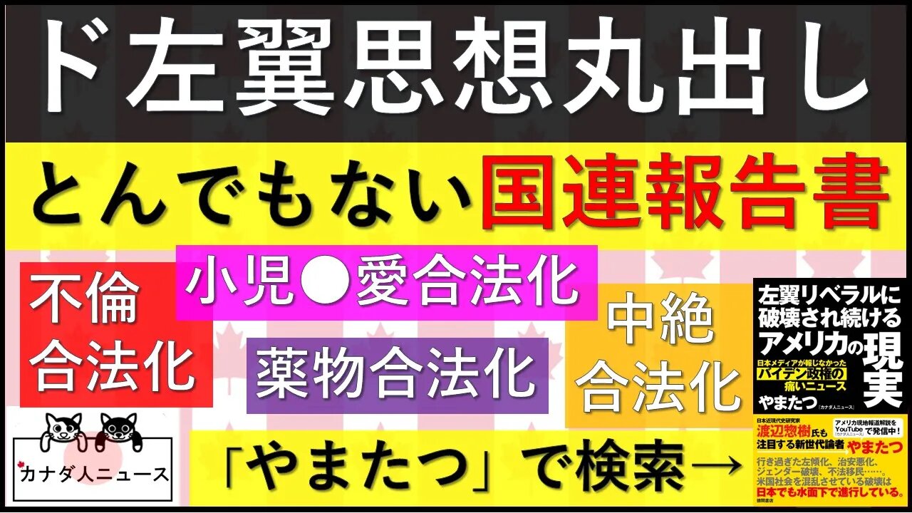4.19 ド左翼活動家のような国連報告書