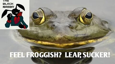 I'M STILL HERE...IF YOU FEEL FROGGISH...LEAP, SUCKER!!