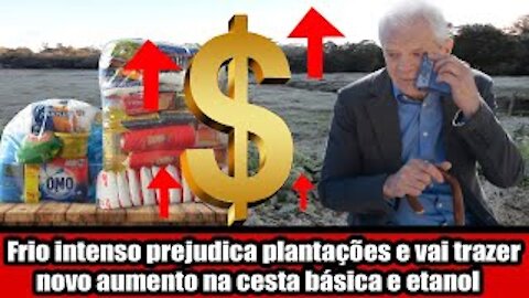 Frio intenso prejudica plantações e vai trazer novo aumento na cesta básica e etanol