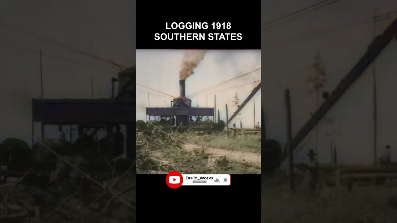 [1918] Logging With Horses, Ox, and Steam-Powered Machinery | 60fps, Colorized, AI Enhanced